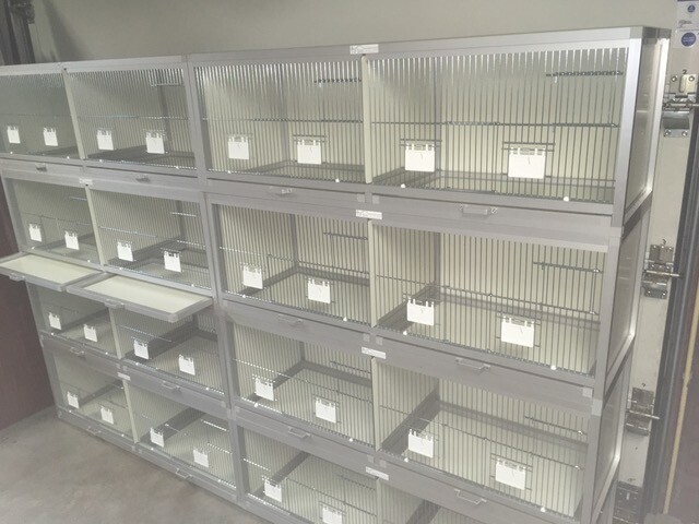 Aluminium kweekkooien in een stelling