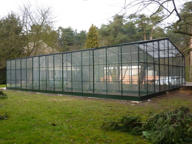 Vrijlucht voliere  6